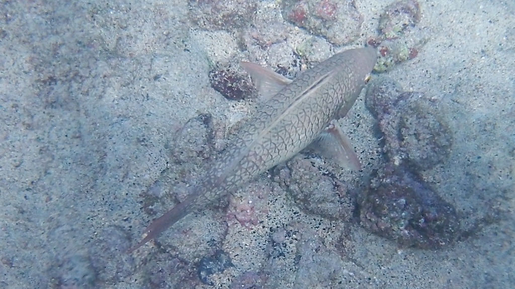 [20121217-100_05434.jpg]