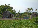 A couple of the King's huts at his village next to the sacred stones. Madagascar6 - 090.jpg