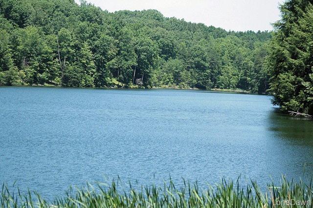 [RoseLake_Summer%255B3%255D.jpg]