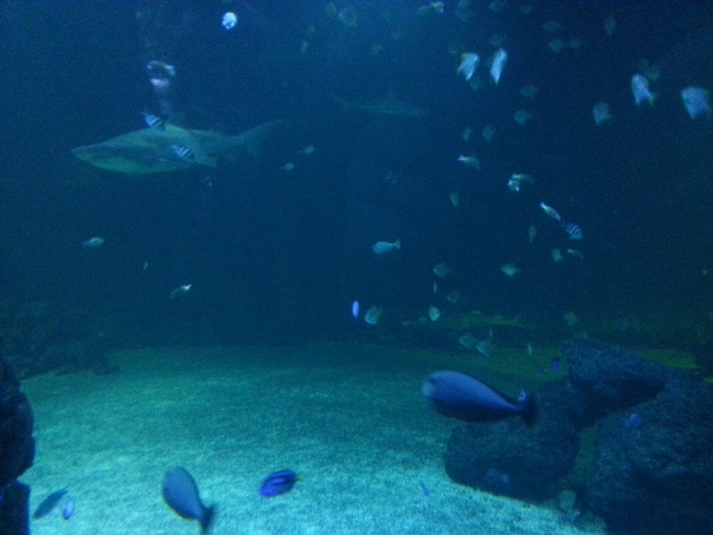 [2013-02-03%252012.19.52%255B6%255D.jpg]