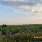 IMG_8183.JPG