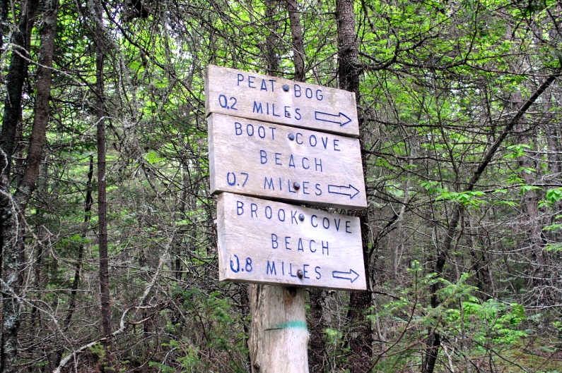 [4---Boot-Cove-Directional-Signs2.jpg]