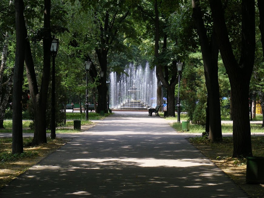 DSCF3146.JPG