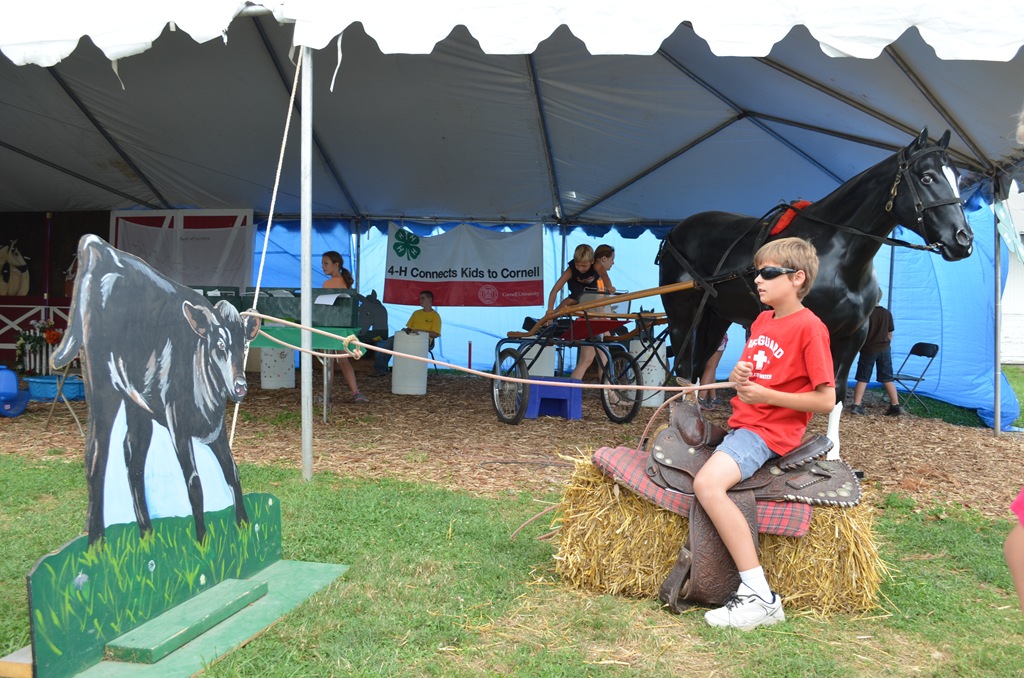 [DSC_2456%255B3%255D.jpg]