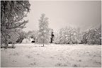Teufelsmoor - Winterimpression