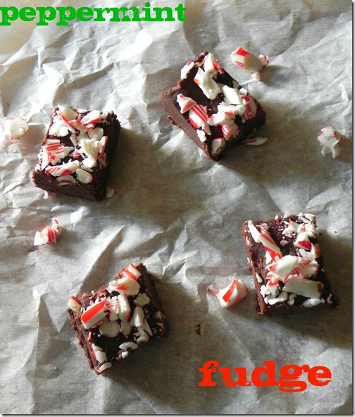 peppermint-fudge-2 peppermint-fudge-2