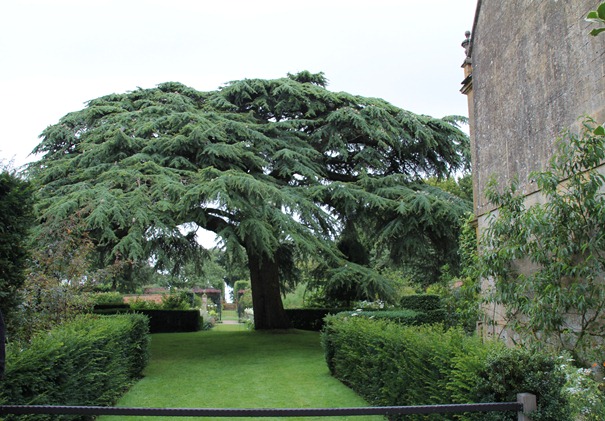 Hidcote garden (3) Hidcote garden (3)