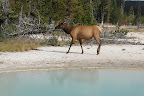 DSC_2673.JPG