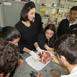 IMG_2465.JPG