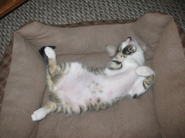 [IMG_3618%255B2%255D.jpg]