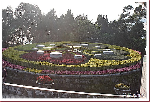 IMG_2247 IMG_2247