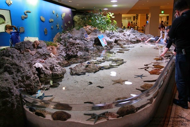 IMG_3000 IMG_3000