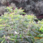 IMG_8192.JPG