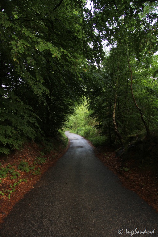 [IMG_0544%255B4%255D.jpg]