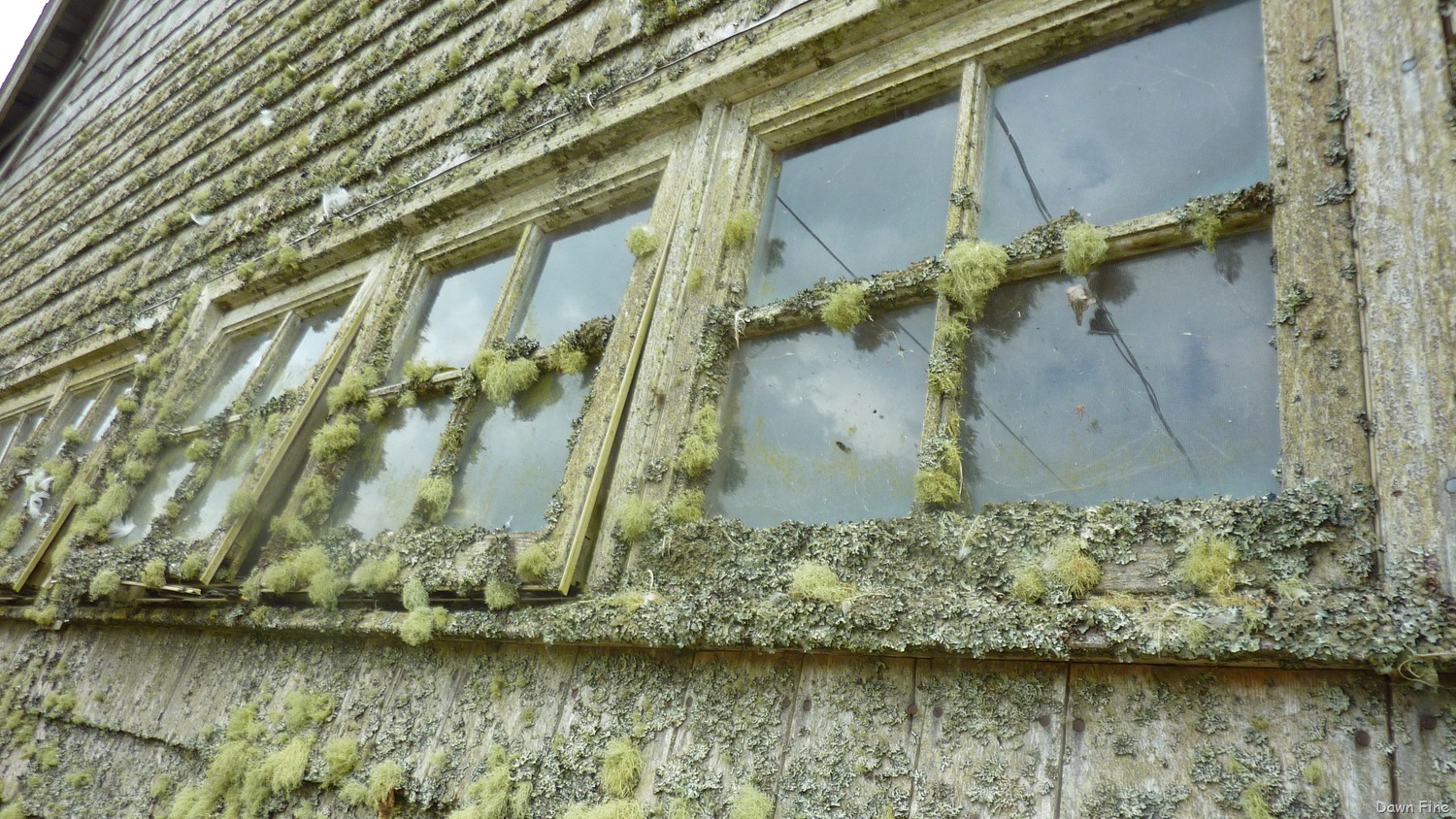 [Acadia-National-Park_1706.jpg]