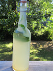 PAMIW 4.JPG