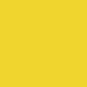 [Yellow3.jpg]