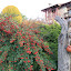 Rupit