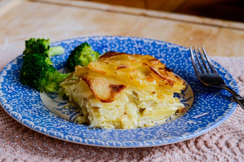 fennel scalloped potatoes-13287 fennel scalloped potatoes-13287