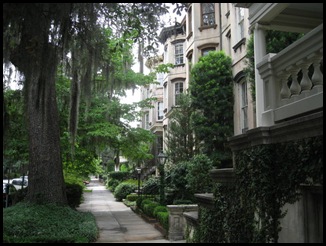 IMG_5224 IMG_5224