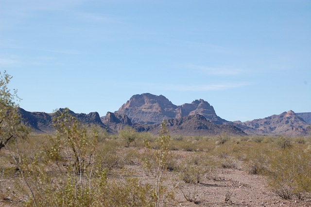 [DSC_0336%255B2%255D.jpg]