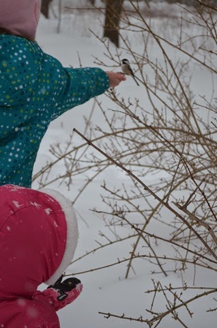 [DSC_0450%255B2%255D.jpg]