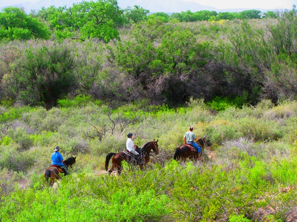[IMG_12139.jpg]