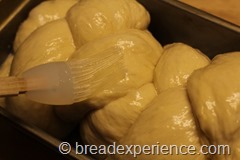italian-challah0019