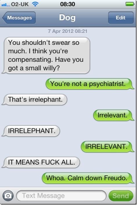texts-from-dog-147e40