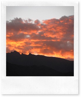IMG_0859 IMG_0859