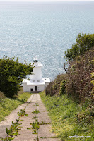 IMG_7967.JPG Photo