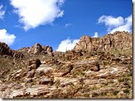 Tucson Sabino Canyon 021