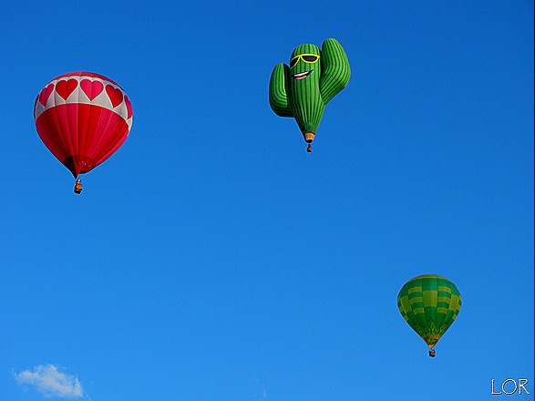 [IMG_409512.jpg]