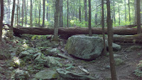 2011-06-08_09-29-01_85.jpg Photo 2011-06-08_09-29-01_85.jpg Photo