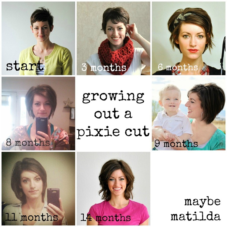 [pixie-growth-collage4.jpg]
