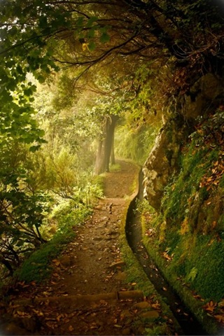 [fairy%2520path1%255B4%255D.jpg]