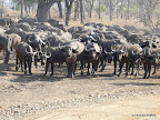 South Luanga Nationalpark