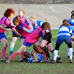 DSC_8994a.jpg