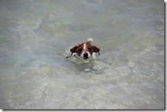 IMG_1520 IMG_1520