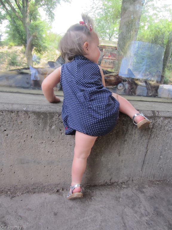 [IMG_0549%255B3%255D.jpg]