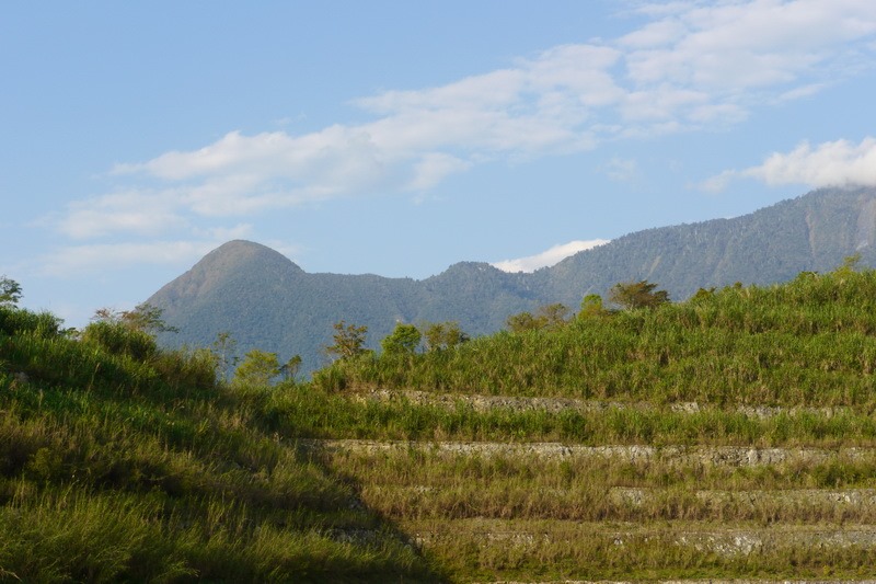 2013_0301 新城山_014 2013_0301 新城山_014