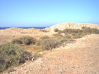 Grass and sand