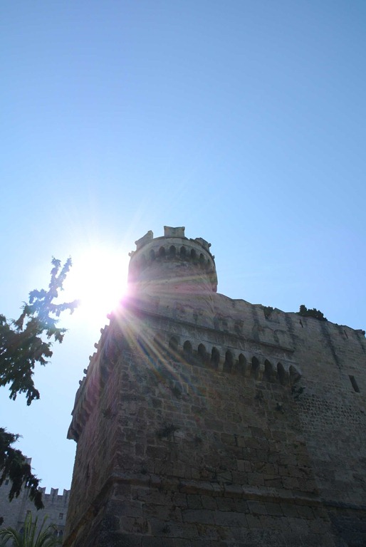 DSC_0828 DSC_0828