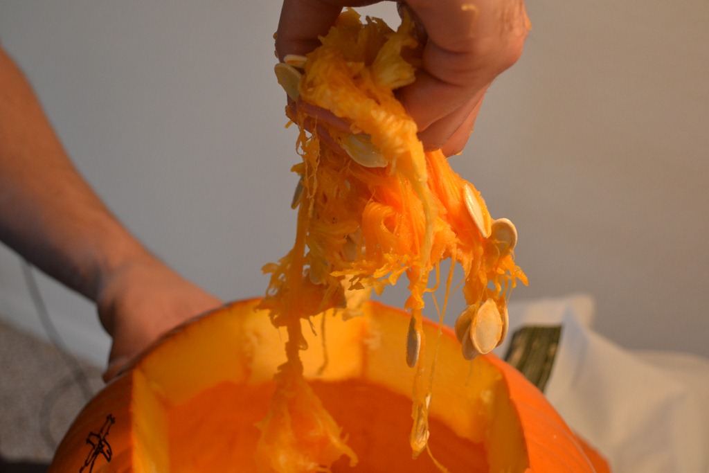 [DSC_02964.jpg]