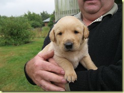 Hi my name is George. 22/01/2012