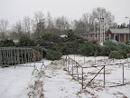 Kerstboomverbranding 2010: Foto