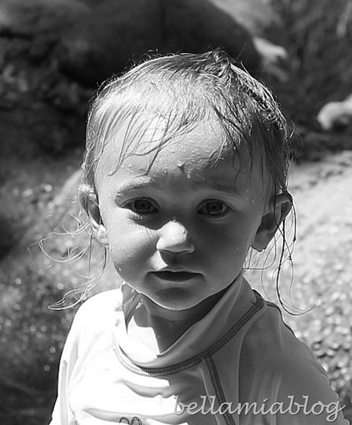 IMG_3870