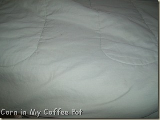 spot remover-comforter 030