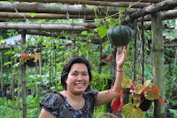 pinoyecofarm penalosa farms_0012.JPG