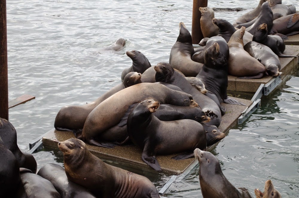 [DSC_0024%255B4%255D.jpg]